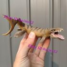 New  Pnso Dakosaurus Model Dinosaur Figure Ocean Animal Action Figure In Stock