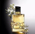 Libre By Edp New In Box Sealed Perfume For Women 3 Oz