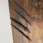Four Old Papua New Guinea Sepik River Carved Crocodiles - Oceanic Tribal Art