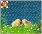 12  Poultry  Chicken  Duck  Aviary  Garden Protective Netting 1    Mesh  4 Nylon