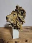 African Lion Bust 2003 Spring Realistic 9 5 Inches Tall Used Good Condition 