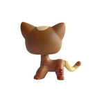 Littlest Pet Shop Toys Bobble Head Short Hair Cat  1170 Brown Cat Blue Eyes