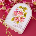 Spellbinders  magical Fuchsia  3d Embossing Folder   Layered Stencils Bundle