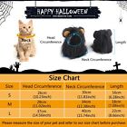 Cat Halloween Costumes- Black Lion Mane Wig Pet Costumes Hat For Halloween Ch   