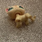 Hasbro Lps Littlest Pet Shop Shorthair Cat Yellow Strip  1905 Kitten Kitty Cats