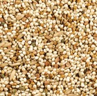 Mixed Bird Seed For Parakeet Canary Finch