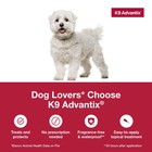 K9 Advantix Flea tick Prevention-for Small Dogs  4-10 Lbs   2-month Supply       New