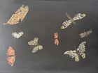 Bakelite Serving Tray - Mother Of Pearl Cottage Core Granny Vintage Butterfly