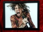 Aerosmith Debut Album Award  platinum   Dream On W framed Photos