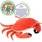 Cora The Crab - 19 Inch Stuffed Animal Plush - By Tigerhart Toys