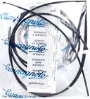 Campagnolo Ergopower Ultrashift Cable Housing Set Bike Brake Shifter Shift Black