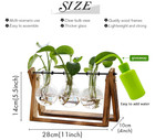Plant Terrarium Wooden Stand With 3bulb Glass Vase Hydroponics Home Office Decor