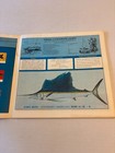 Vintage 1975 South Gulf Coast Fishing And Navigational Charts