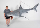 Hanging 11ft Great White Shark Life Size Resin Statue Animal Prop Display Decor