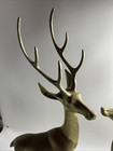 Beautiful Large Brass Deers Pair  29 Inch And 18 Inch Tall