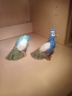 Tracy Porter Artesian Road Collection Peacock Salt   Pepper Shakers Ceramic  12 