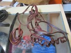 Ariat Used And A Lot More Horse Leather Stuff  Great Deal 