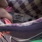 Nike Sb Dunk Low Purple Lobster 