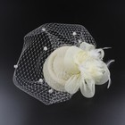 Elegant Fascinator Hat Headband Ladies  Day Cocktail Tea Party Wedding Hair Clip