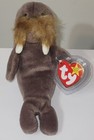 Ty Beanie Baby - Jolly The Walrus  7 Inch  New Mwmts Plush Stuffed Animal Toy