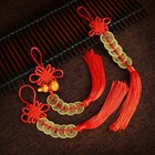 5pcs Feng Shui 5 Thick Lucky Money I Ching Five Emperors Coin Charm