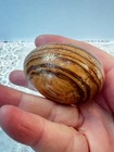 Vintage Wooden Egg Polished Striping Of Color Approx 2  Long