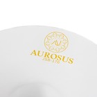 Aurosus Lightweight Fibreglass Sousaphone Marching Bb Tuba Band Instrument New