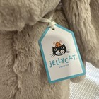 Nwt Jellycat Bashful Beige Authentic Bunny Medium 12in Plush Stuffed Animal