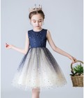 Kid Flower Girl Star Tulle Tutu Dress Pageant Princess Wedding Bridesmaid Gown