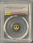 2019 China 10 Yn Panda 1 Gram  999 Gold First Strike Pcgs Graded Ms70 Gold Coin