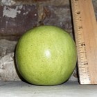 Artificial Fake Faux Apple Fruit  Lot Of 4  Realistic Quality Green Granny Smith
