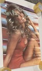 Farrah Fawcett Mary Margaret Humes 28 X 20 Double Sided Poster Vtg Rare 1979