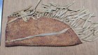 Vintage Native American Sioux  Crow Or Cheyenne Indian Knife Sheath Circa 1900