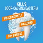 Therabreath Fresh Breath Mouthwash  Icy Mint Flavor  Alcohol-free  16 Fl Oz  pa