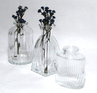 Bottle Vases Clear Glass Ribbed Design Set 3