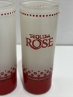 Tequila Rose Tall Frosted  Double Shot Glass Set Of 4 Glasses 4    Tall
