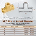 2pcs 1 8  Npt Female Brass Tee Fitting With Teflon Tape  1 8 2 Pack  Gold