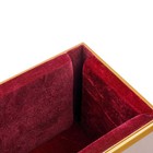 Cello Stand With Bow Holder  Full Size Cello Stand With Plush Velvet Protection