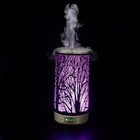 Ultrasonic Metal Humidifier Led Humidifier Suitable For Bedroom Christmas Gifts