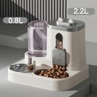Automatic Feeder Dog Cat Food Bowl With Water Fountain Large Capacity Pet Food S