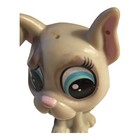 Great Dane Dog Puppy  89 Grey Bent Ear Littlest Pet Shop Hasbro Lps 2  Figure