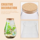 Glassless Terrarium Diy Plants Glass Empty Bottle Plants Glass Jars