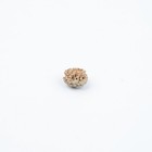 3 Mukhi Rudraksha Original Nepali Bead   Teen Mukhi Rudraksha For Confidence 