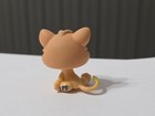 Littlest Pet Shop Lps Pet Sitting Kitten Cat  2020 Green Eyes Rare Hasbro