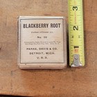 Old Vintage Druggist Park Davis Co Detroit Mi Blackberry Root Medicine In Box