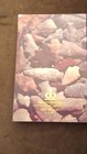 Arrowheads   Projectile Points Identification   Values By Lar Hothem Western Am   