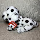 Nwt Gund Dalmation 046245 Black   White Spotted Puppy Dog 10    Plush Sitting New