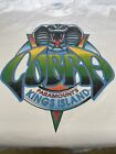 Men   s Xl Vintage Paramount Parks King Cobra Rollercoaster T-shirt