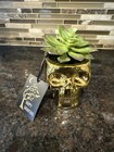 Gold Metallic Skeleton Head Figurine Faux Succulent Nwt Halloween