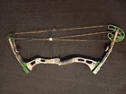 Bear Showdown Rh 70 Lbs Compound Bow Great Condition